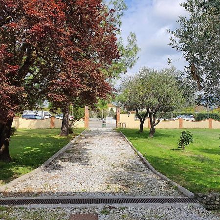 La Casetta Di Silvio Capezzano Pianore Extérieur photo