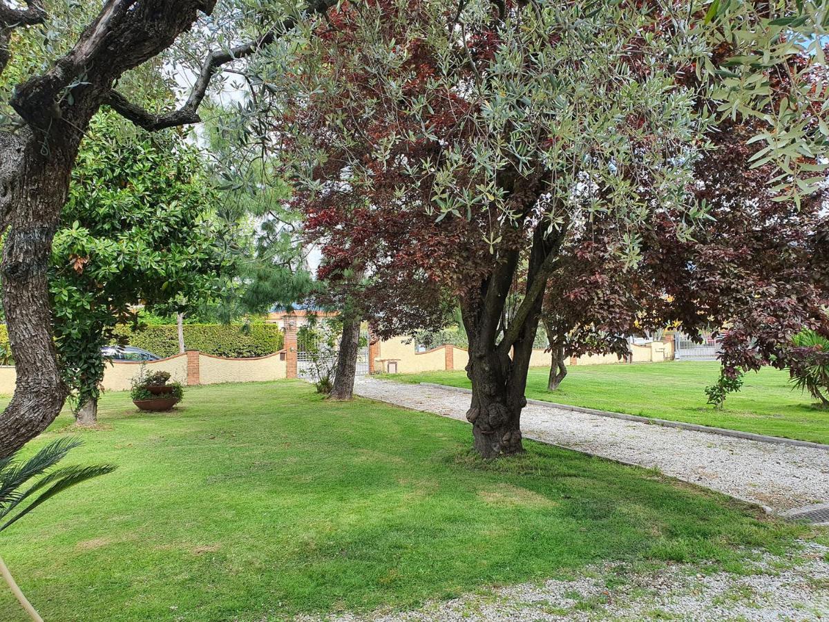 La Casetta Di Silvio Capezzano Pianore Extérieur photo