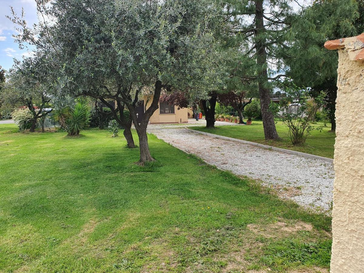 La Casetta Di Silvio Capezzano Pianore Extérieur photo